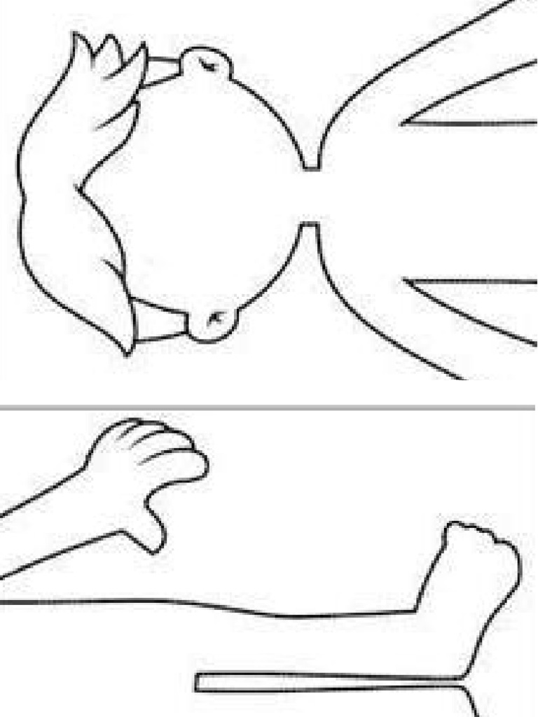 Esqueleto Humano Nilño para Imprimir | PDF