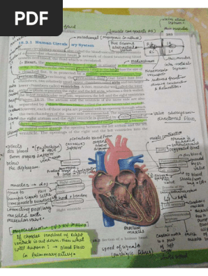 Human physiology aesthetic notes 