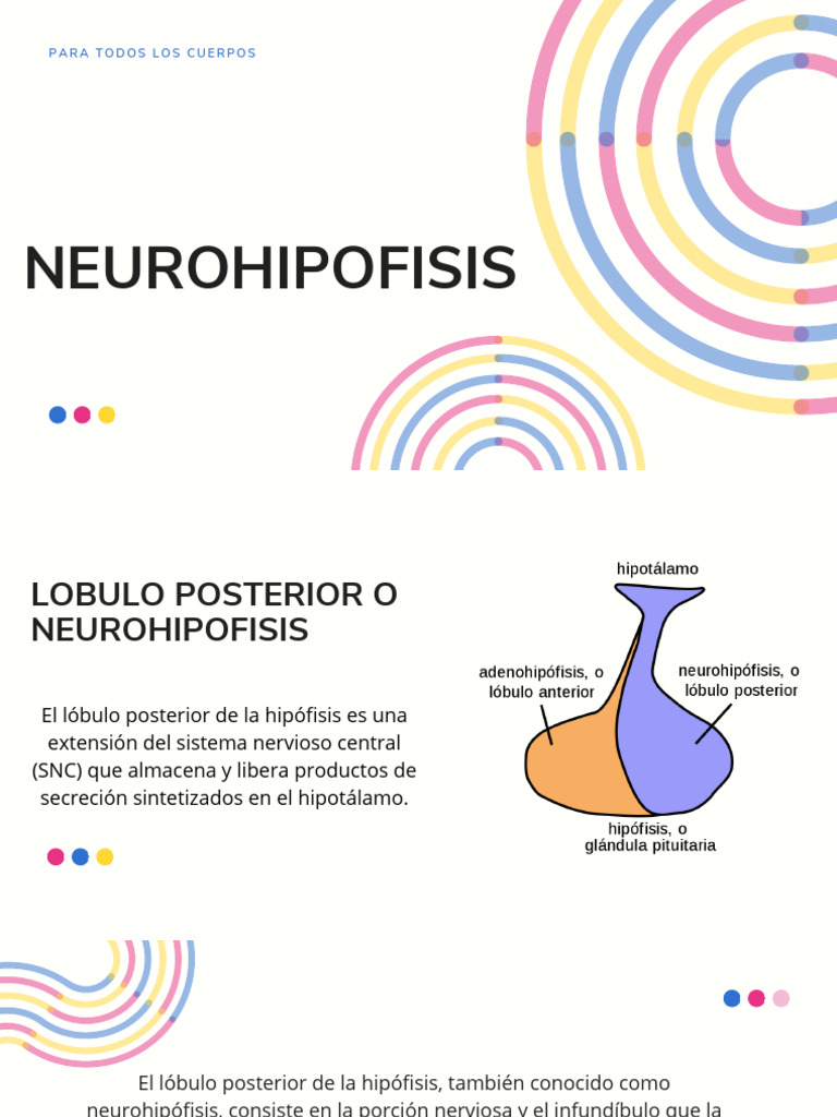 NEUROHIPOFISIS | PDF