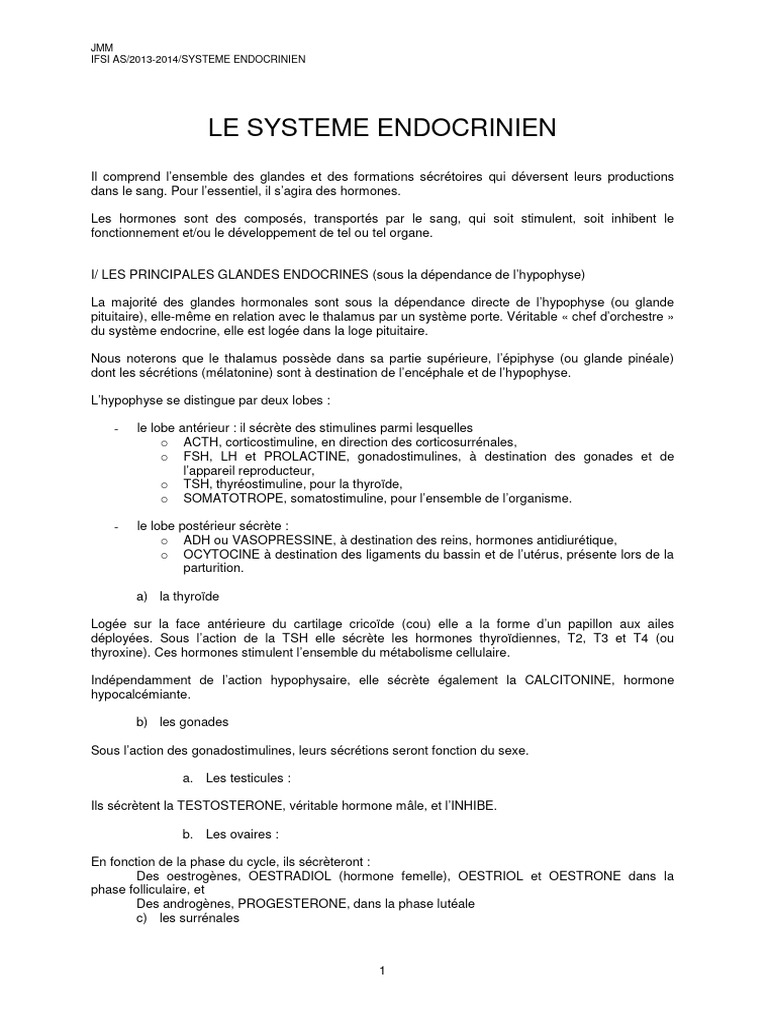 Le Systeme Endocrinien | PDF