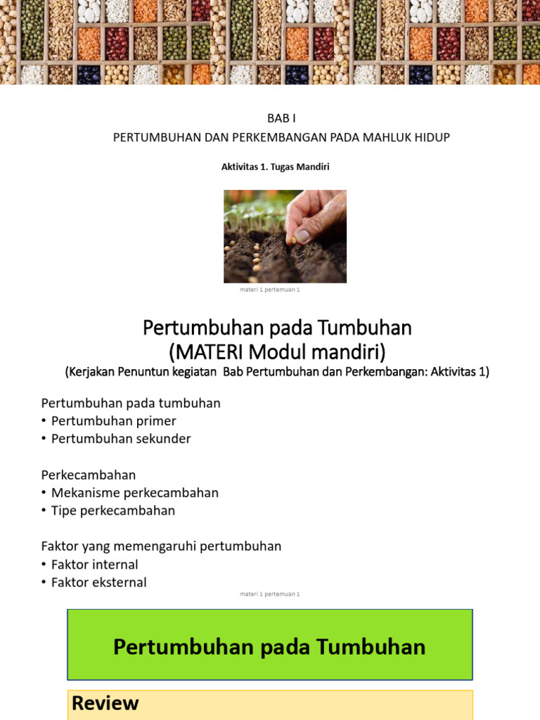 Ppt Pertumbuhan Tumbuhan Pdf