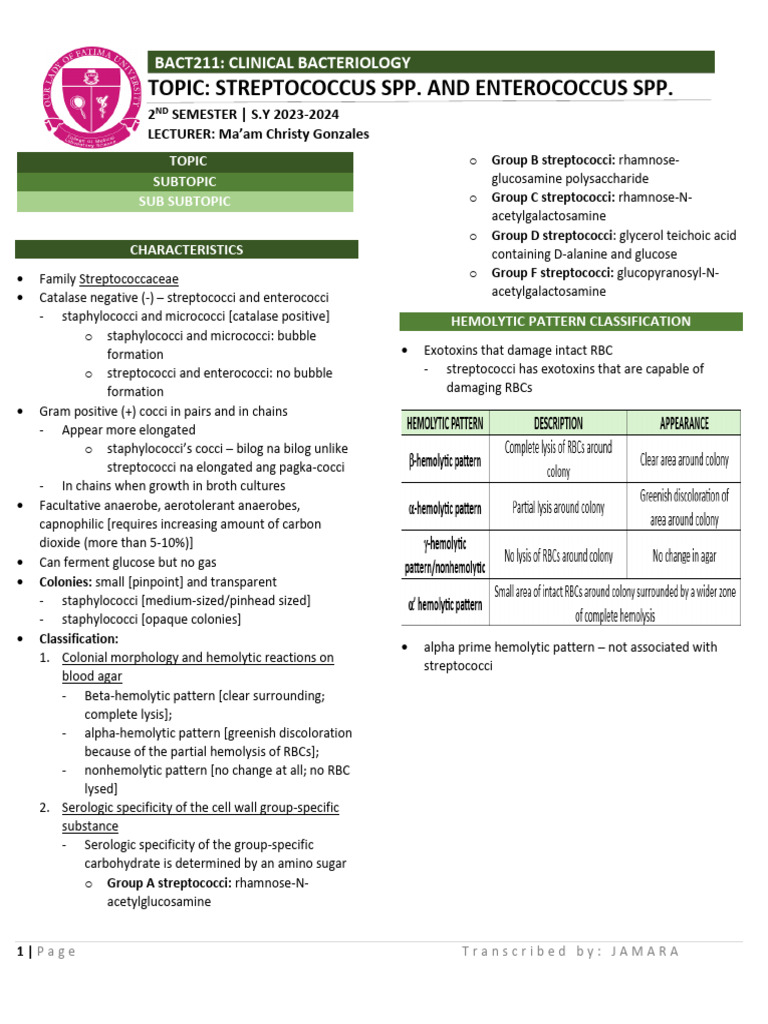 Streptococcus Spp. and Enterococcus Spp. | PDF | Streptococcus ...