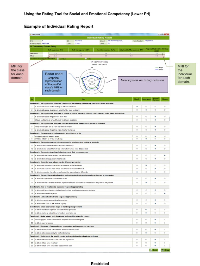 Individual Rating Report | PDF