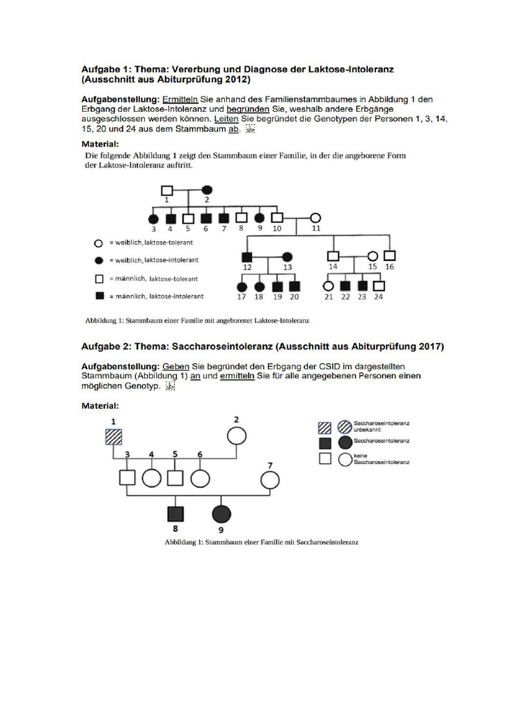 fsp-stammb-ume-pdf