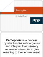 Mpob Perception 1