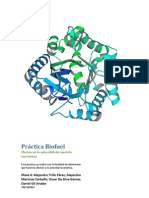 Biofuel, Enzimas. Informe de Lab Oratorio.