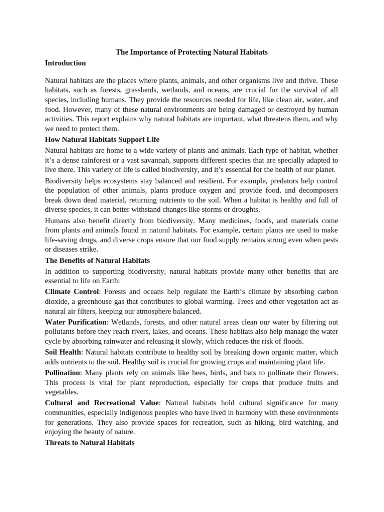 Importance Of Protecting Nature Essay