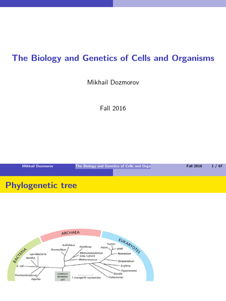 02 Molecular Biology | PDF
