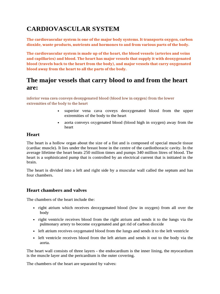 CVS Notes | PDF | Heart | Art