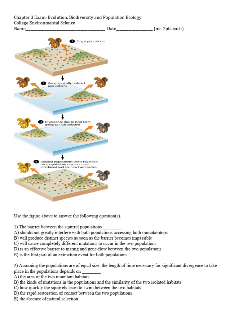 Chapter 3 Exam | PDF