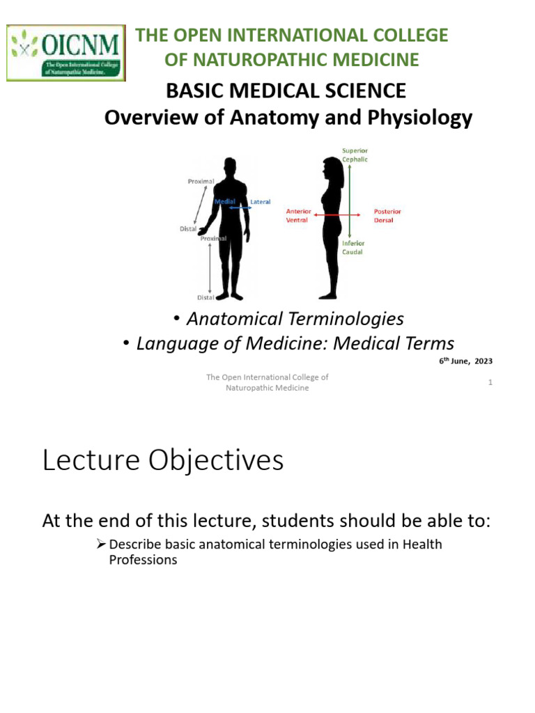 CLASS IV - NARIM23A Anatomical Terminologies | PDF