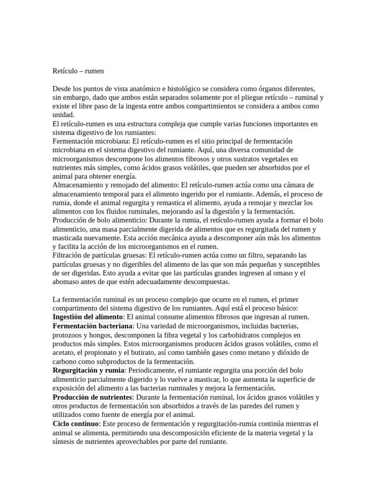 Reticulo - Rumen | PDF