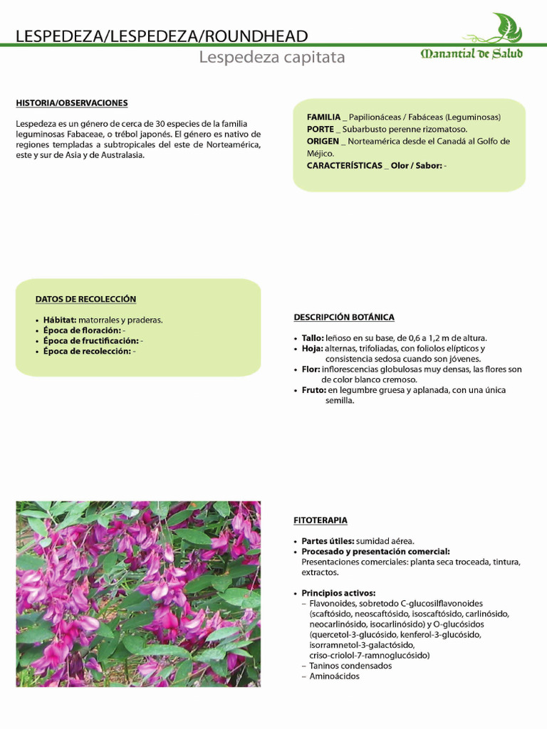 LESPEDEZA | PDF