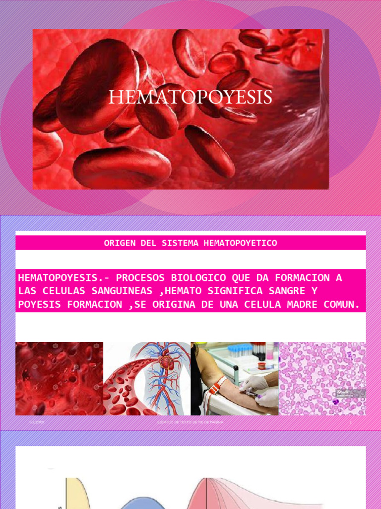 hematopoyesis-pdf