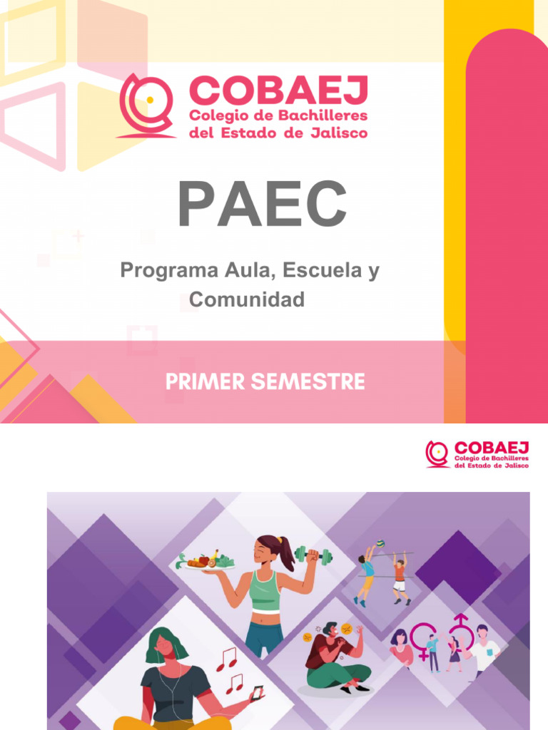 PAEC 1er. SEMESTRE | PDF