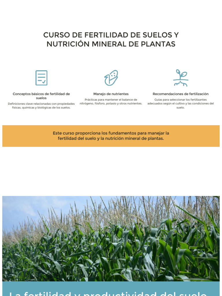 I Parcial - Presentacion PPT - La Fertilidad y Productividad Del Suelo ...