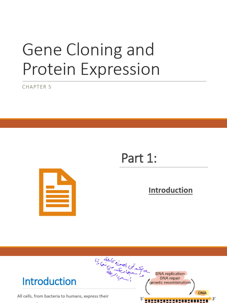 Chapter 5 - Gene Cloning and Protein Expression | PDF