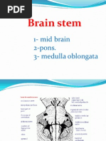 Download Brain Stem by Fazira Ekma SN76049640 doc pdf