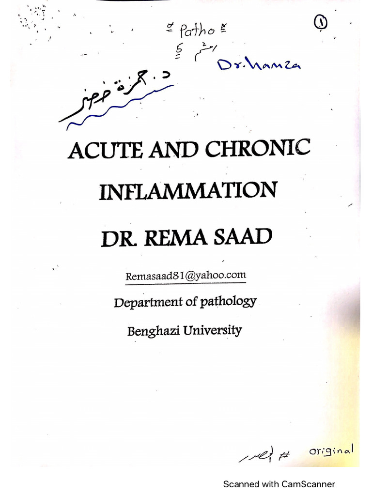 Inflammation | PDF