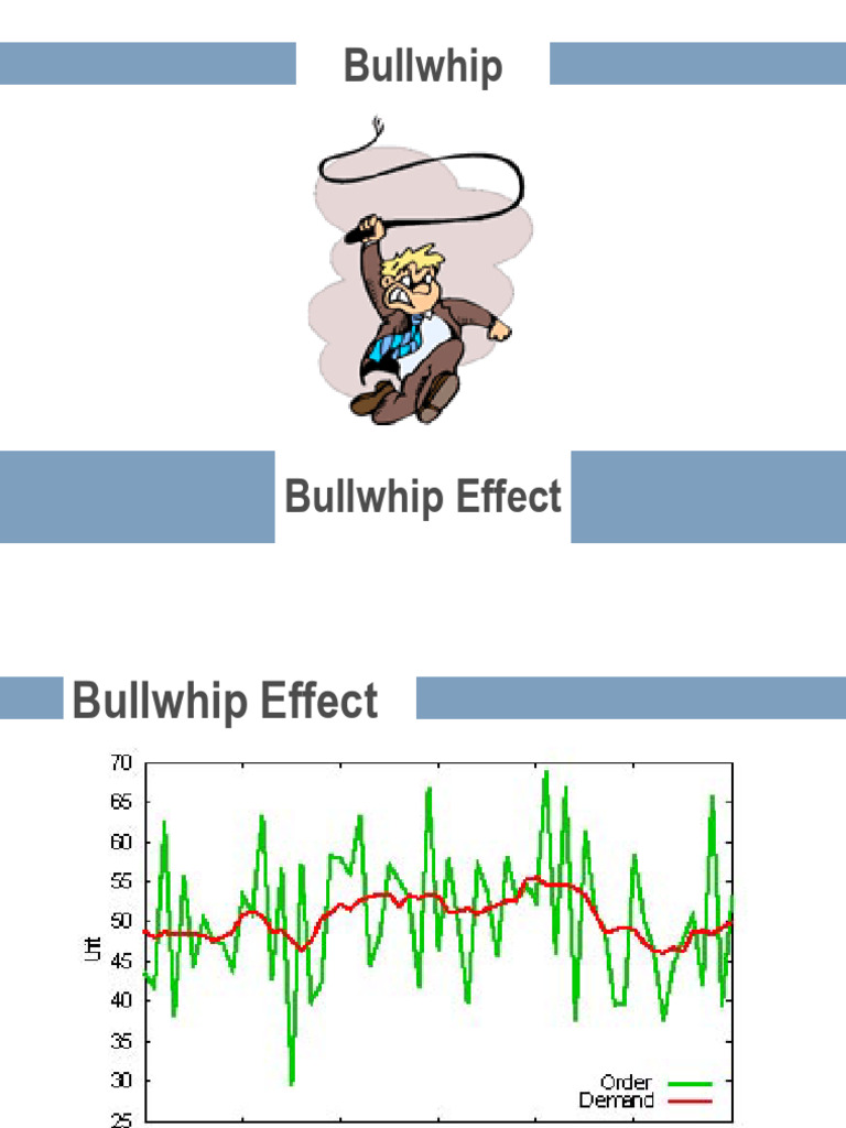 06 Bullwhip | PDF