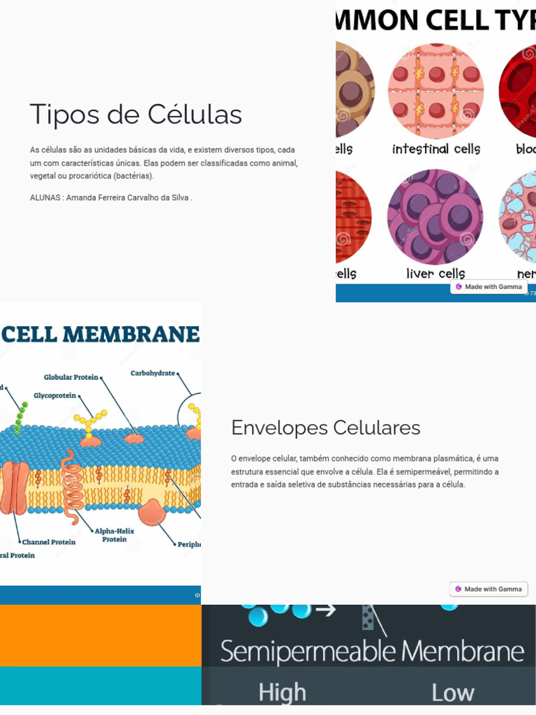 Tipos de Celulas | PDF