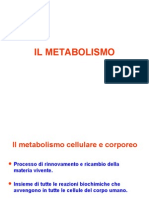 Lezioni Fisiologia (Il Metabolismo