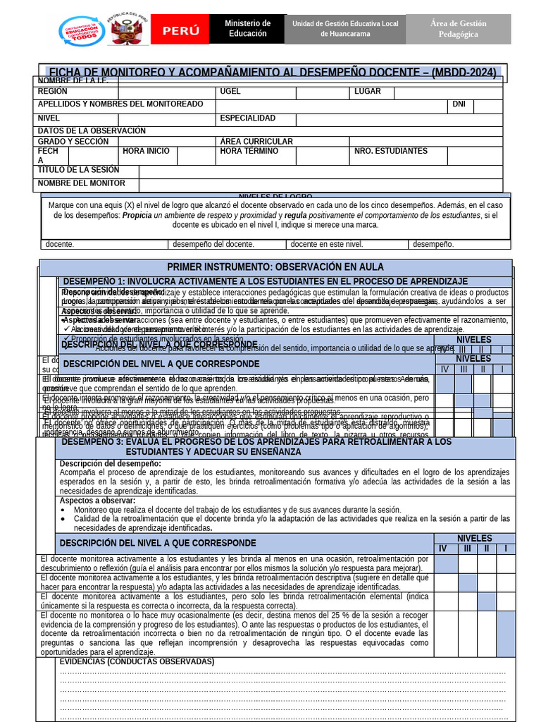 FICHA DE MONITOREO DOCENTE 2024 - Ajustado Ok | PDF