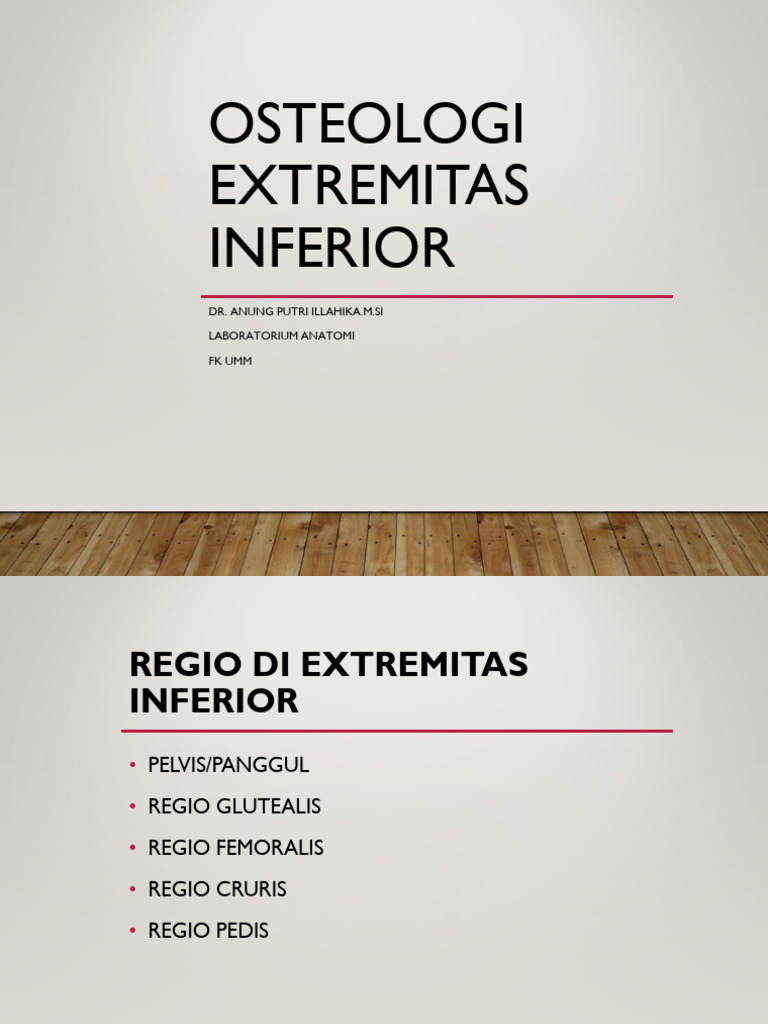 Osteologi Extremitas Inferior | PDF