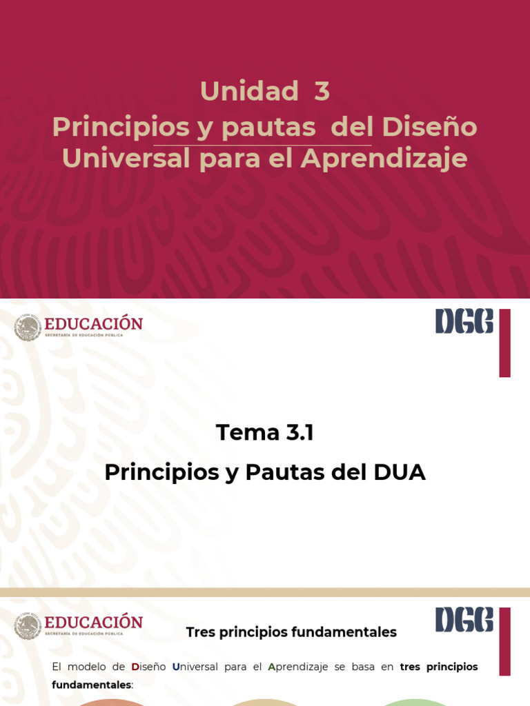Principios y Pautas Del DUA | PDF | Comunicación | Crecimiento personal ...