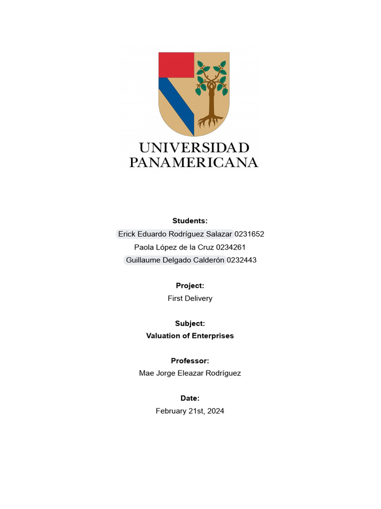 First Project Delivery | PDF