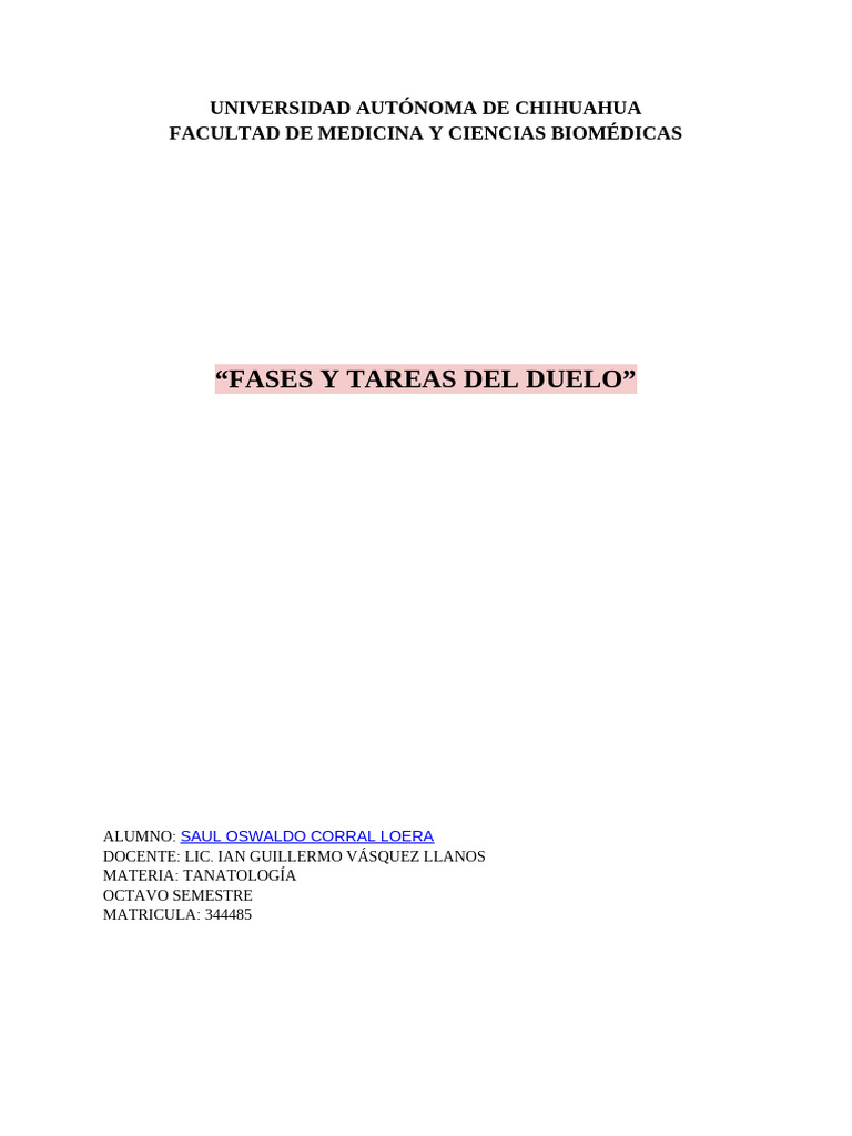 Fases Y Tareas Del Duelo Pdf