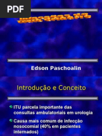 Infecção Urinária - Parte 1