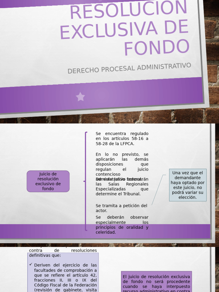 Juicio de Resolución Exclusiva de Fondo | PDF
