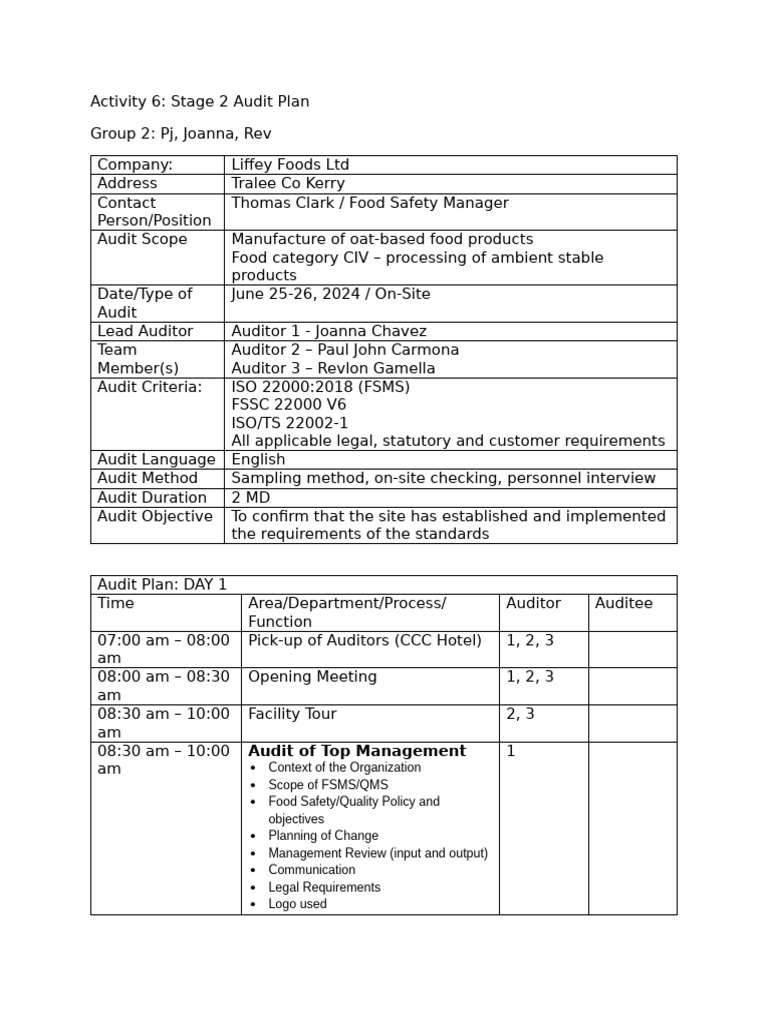 Activity 6 - Audit Plan | PDF