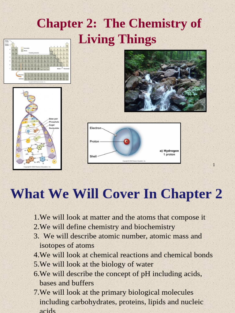 New Chapter 2-2 | PDF