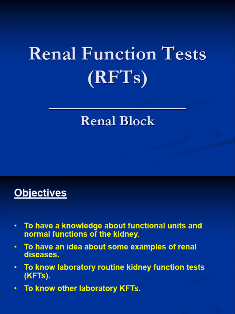 L1) Renal Function Tests | PDF