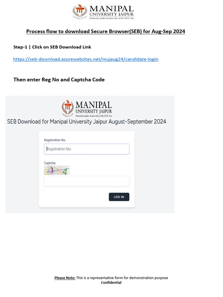 SEB Download Process Flow Aug-Sep'24 | PDF