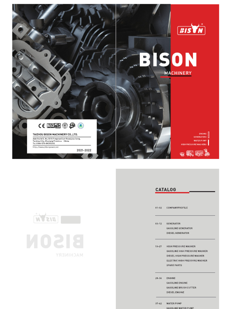 Bison | PDF