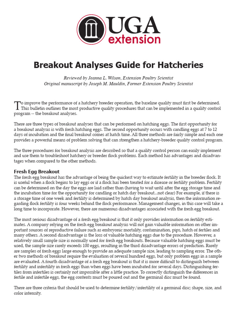 Chick Development | PDF