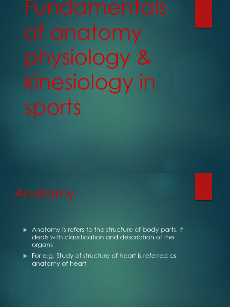 FUNDAMENTALS OF ANATOMY PHYSIOLOGY AND KINESIOLOGY IN SPORTS CLASS 11 ...