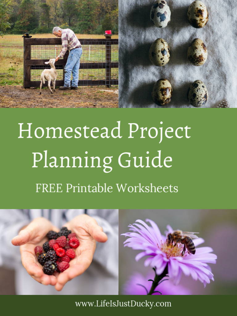 Homestead Project 2 | PDF