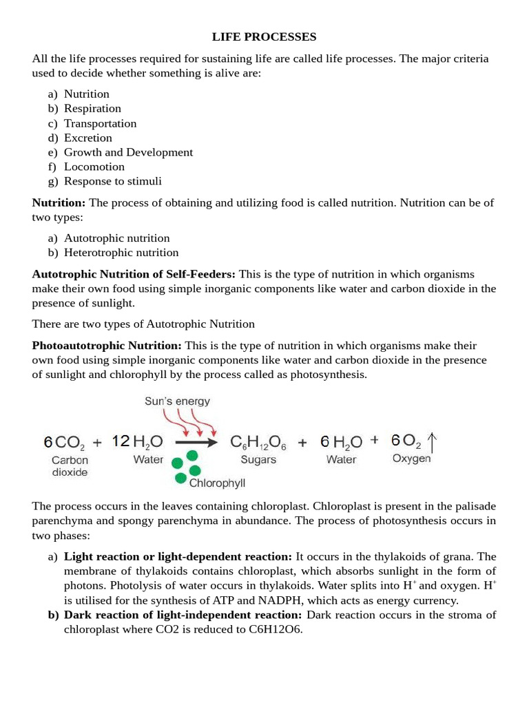 Life processes pdf