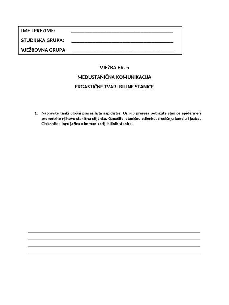 Protokol 5 | PDF