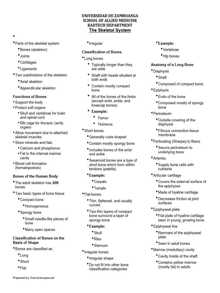 Anatomy intelligence overview