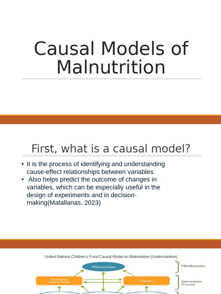 Causal Model | PDF
