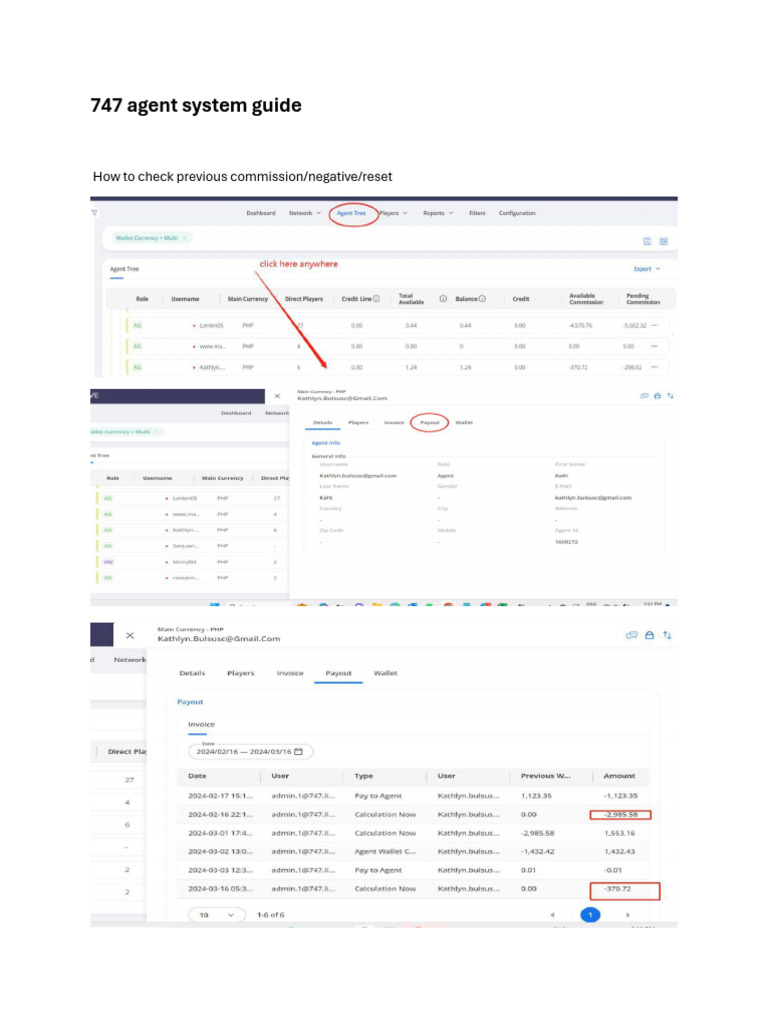 747 Agent System Guide Pdf