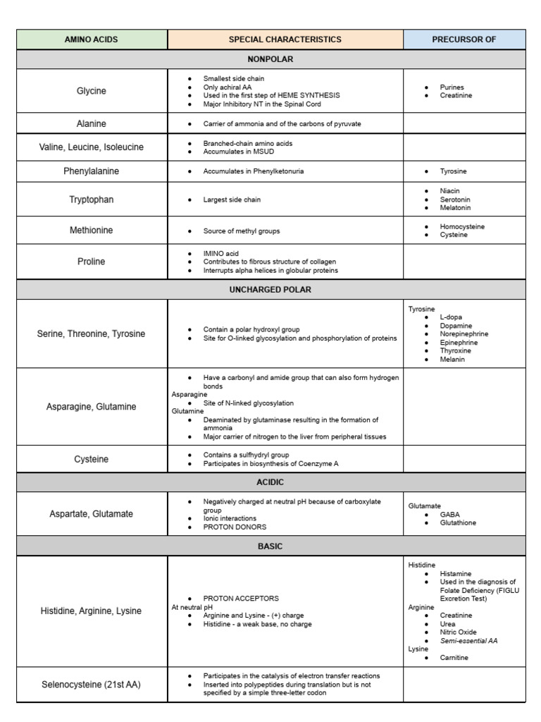 Amino Acids Cheat Sheet | PDF
