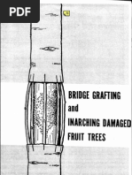 Download Bridge Grafting and Inarching Damaged Fruit Trees by dwblakey SN7607870 doc pdf