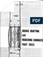 Bridge Grafting and Inarching Damaged Fruit Trees