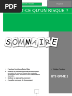 Dossier E51 : Gestion des Risques BTS GPME | PDF | Affaires
